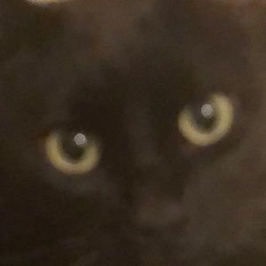 Meet your Posher, Isabelle